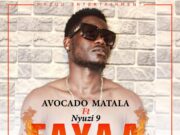 AUDIO | AVOCADO X NYUZI 9 – FAYAA