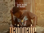 AUDIO | Don Bizzo Ft. Ronei – Naionaje