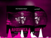 AUDIO | Killy X Nyanda X Singah – AMENIKAA