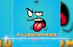 AUDIO | Harmonize – Hujanikomoa