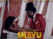 VIDEO | Ten Ballz – Shavu