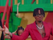 VIDEO | Tanasha X Diamond Platnumz – Gere
