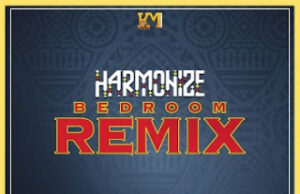 Download Harmonize – Bedroom (Remix) ft. Darassa, Country Boy, Young Lunya, Moni, Billnas, Rosa Ree & Baghdad Mp3