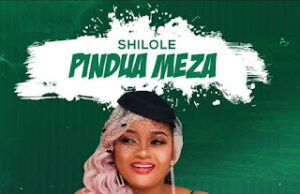 AUDIO | Shilole – Pindua Meza | Download