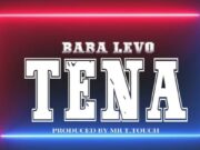 AUDIO | Baba Levo – Tena