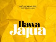 AUDIO | Melloh music Ft. B2k – Hawajajua