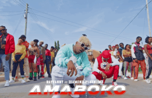 VIDEO | Rayvanny Ft. Diamond Platnumz – Amaboko