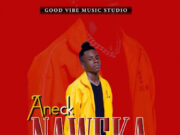AUDIO | Aneck – Naweka | Download