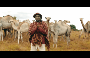 DAWNLOAD VIDEO | Fid Q Ft. Paul Clement – Tajiri Yangu