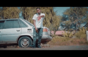 VIDEO | D Nase – Nitembezee