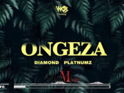AUDIO | Diamond Platnumz – Ongeza | Download