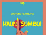 AUDIO | Diamond Platnumz – Haunisumbui | Download