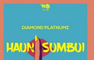 AUDIO | Diamond Platnumz – Haunisumbui | Download