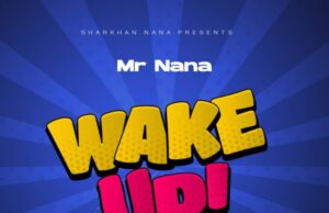 AUDIO | MR NANA – RUDI | Download