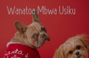 AUDIO | Daxo chali X Askof X Msamiati X The Double Trouble – Wanatoa Mbwa Usiku | Download