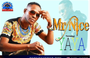 Mr Nice – Yaya Mr Nice – Yaya