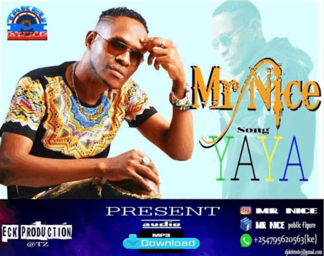 Mr Nice – Yaya