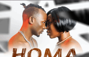 Stellina x Foby – Homa Stellina x Foby – Homa