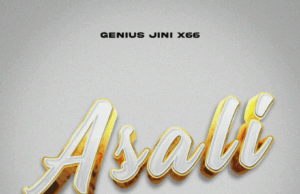 Geniusjini X66 – Asali Geniusjini X66 – Asali