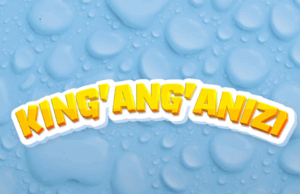 Msomali ft Dully Sykes – King’ang’anizi