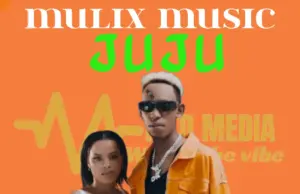 Mulix Music – Juju Mulix Music – Juju