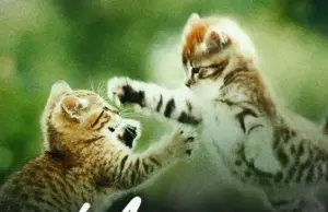 Mwijaku ft Baro Baro – Mama Mwijaku ft Baro Baro – Mama