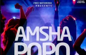 Nay Wa Mitego (Mr Nay) – Amsha Popo Nay Wa Mitego (Mr Nay) – Amsha Popo