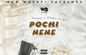 Rayvanny X S2kizzy – Pochi Nene