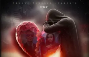 Toxic – Limeniumiza Toxic – Limeniumiza