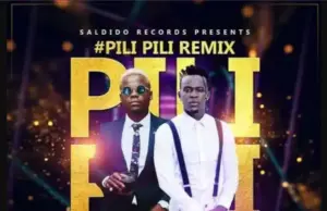 Willy Paul ft Harmonize – Pilipili Willy Paul ft Harmonize – Pilipili
