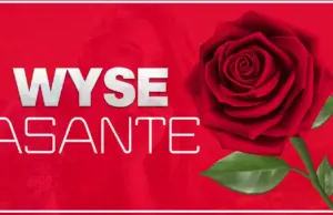 Wyse – Asante Wyse – Asante