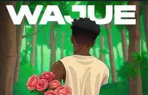 Dayoo – Wajue Dayoo – Wajue