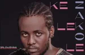 Dflowz Vina – Kelele Zako Dflowz Vina – Kelele Zako