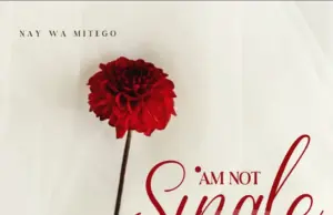 Nay Wa Mitego – Am Not Single