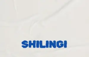 Dogo Niga ft MRT Sound – Shilingi