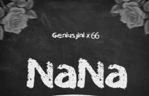 Genius Jini X66 – Nana