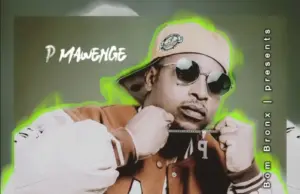 P Mawenge – Nani Anapinga P Mawenge – Nani Anapinga