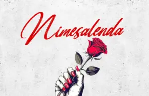 Beka Flavour – Nimesalenda