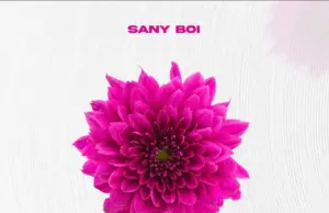 Sani Boy – Wewe Audio | Sani Boy – Wewe | Download Mp3