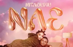 Yammi ft Mbosso – Nitadumu Nae Yammi ft Mbosso – Nitadumu Nae