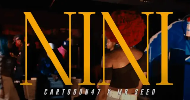 Cartoon 47 ft Mr Seed – Nini