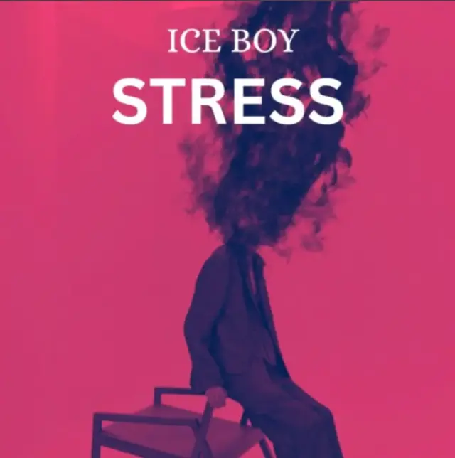 Audio | Ice Boy – Stress | Download Mp3