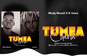 Mudy Msanii ft D Voice – Tumeachana