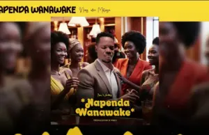 Nay Wa Mitego – Napenda Wanawake Nay Wa Mitego – Napenda Wanawake