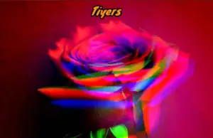 Tiyerz – Wasi Wasi Tiyerz – Wasi Wasi