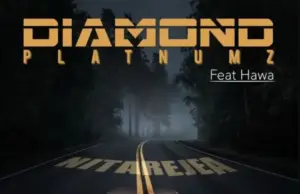Diamond Platnumz ft Hawa – Nitarejea