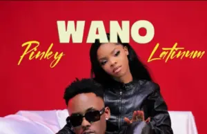 Latinum ft Pinky – Wano