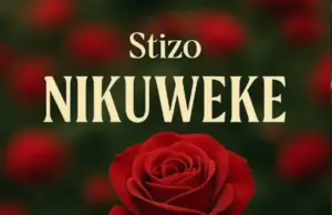 Stizo – Nikuweke