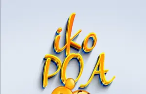 Dj Robby Fighter ft MC Shallo – Iko Poa