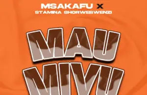 Msakafu ft Stamina Shorwebwenzi – Maumivu